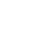 gedigitalwhite (1)